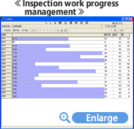 Inspection work progress management